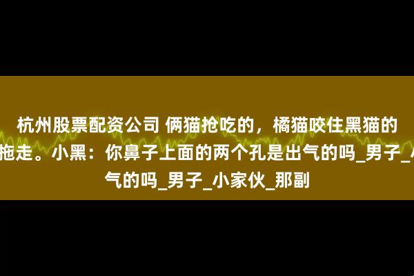 杭州股票配资公司 俩猫抢吃的，橘猫咬住黑猫的爪子把黑猫拖走。小黑：你鼻子上面的两个孔是出气的吗_男子_小家伙_那副